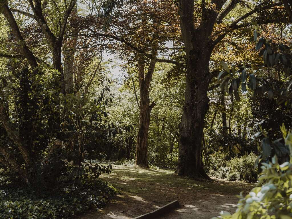 Week-end bistronomique et détente avec spa dans une demeure de charme en Essonne - 4* - 13