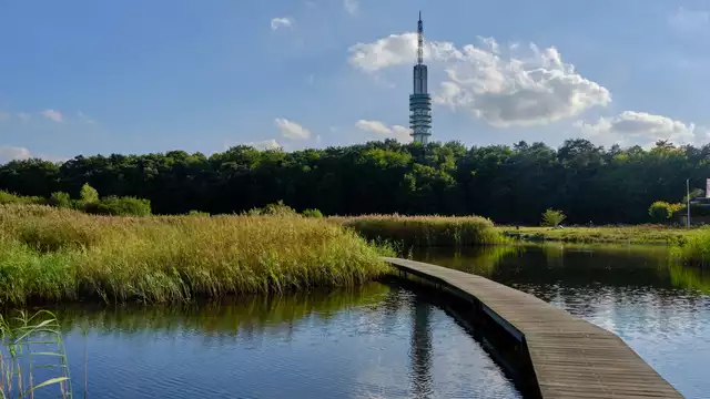Escapade au calme près d'Amsterdam