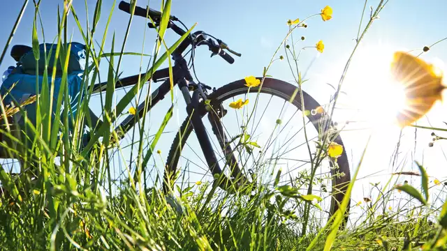 Escapada de fin de semana en bicicleta por el Gooi