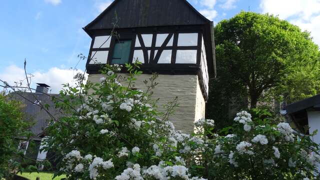 Fletcher Parkhotel Olsberg-Winterberg