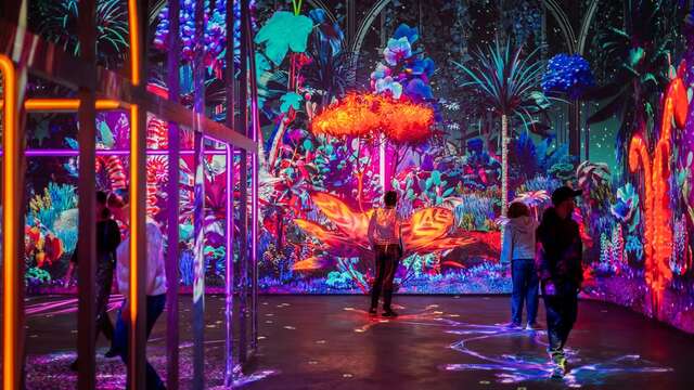 Fuga 4**** in famiglia con 2 giorni di accesso a Futuroscope e accesso alla spa