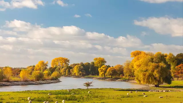 Una estancia hermosa y tierna en el corazón de los Países Bajos