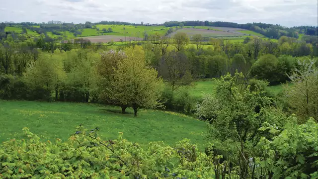 Weekend nel Limburgo olandese