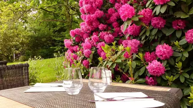 Sosta gastronomica e scoperta marittima vicino a Carnac