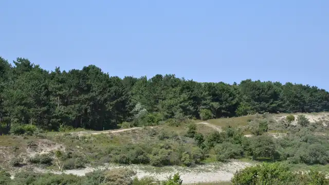 Détendez-vous et profitez d'un séjour romantique dans les Dutch Dunes