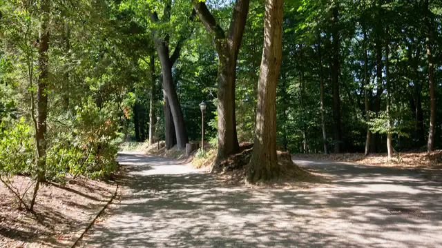 Profitez d’une nuit dans la verdoyante région de Spaarnwoude