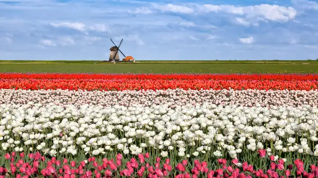 Escapada al corazón de Schagen