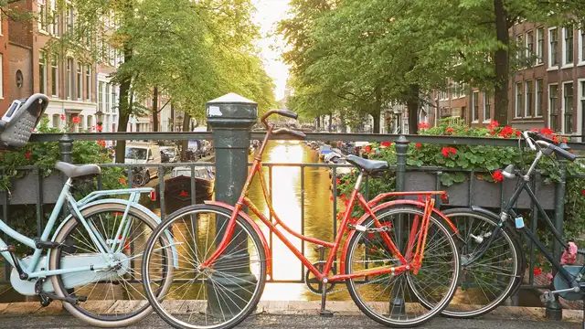 Visite de la belle Amsterdam à vélo