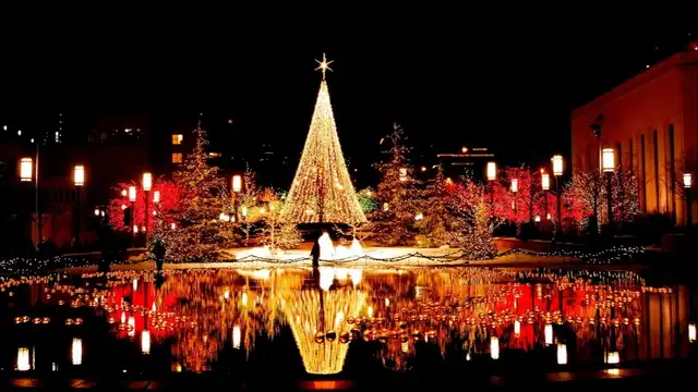Séjour magique à La Haye avec visite du marché de Noël