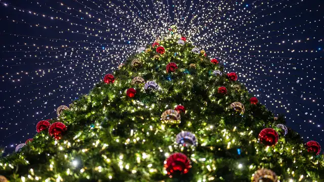 Beleef Kerstmis in de Ardennen