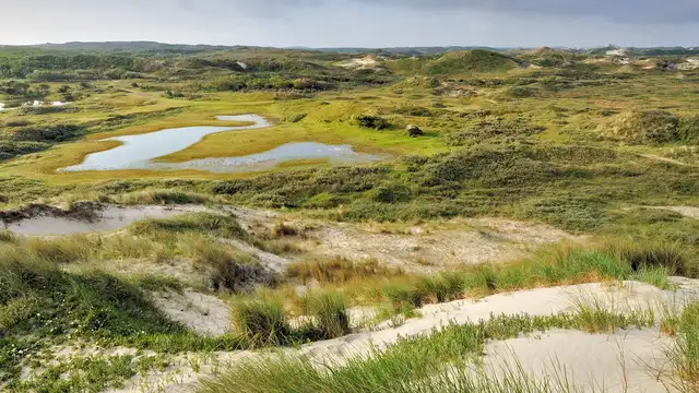 Dormir junto a las dunas: desayuno, goodie bag HKLiving y calma en Castricum