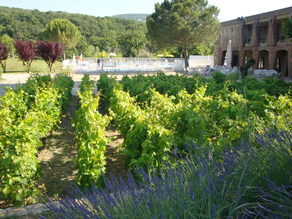 Séjour en plein coeur du Luberon - 3* - image 2