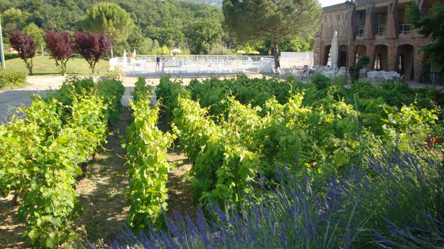 Hotel Castel Luberon