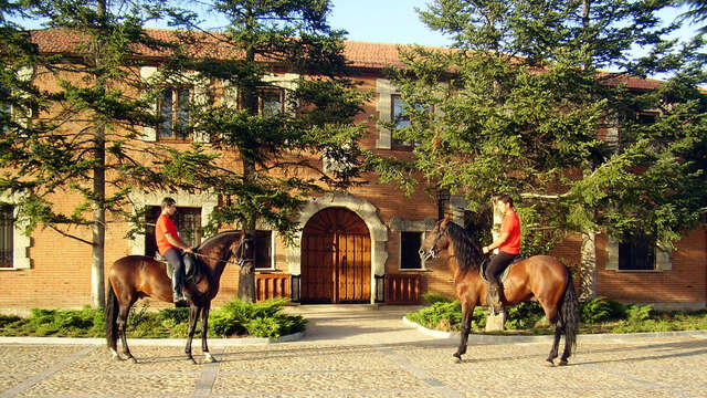 Posada Real El Palomar
