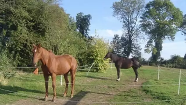 Week-end romantique et découverte géocaching en Roulotte entre Le Touquet et Arras