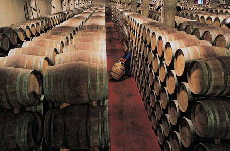 Week-end avec dégustation VIP dans la cave Marqués de Cáceres