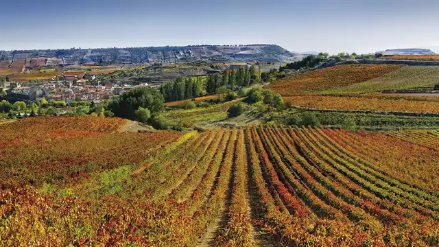 Soggiorno con degustazione VIP nella cantina Marqués de Cáceres