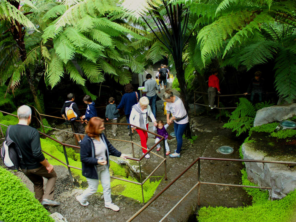Voyage au centre des volcans avec entrées au parc Vulcania (35 minutes en voiture) - 4* - 37