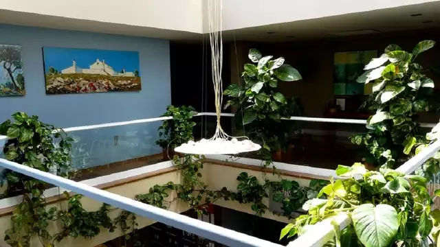 Escapada Enologica para los amantes del buen comer y del buen beber con cena degustacion y visita