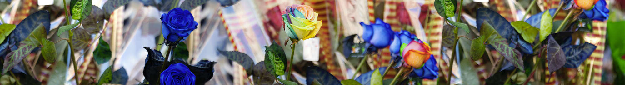 Koningsdag 2026: Hotels voor een weekend weg