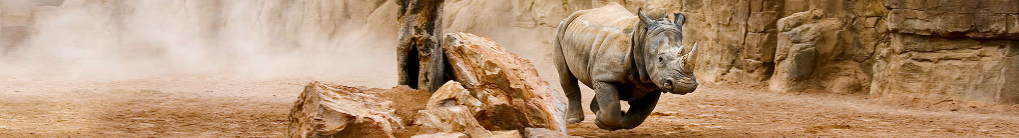 Escapadas fin de semana en Bioparc Fuengirola