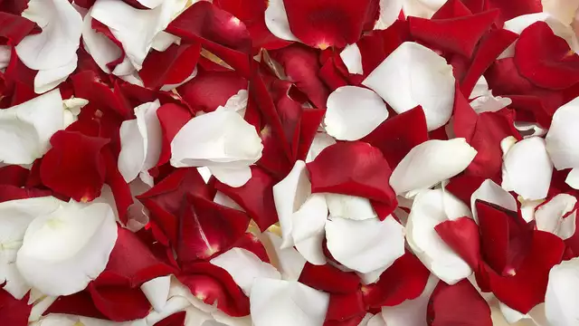 Sejour romantique avec cava chocolats et jacuzzi prive a Platja d Aro - Catalogne