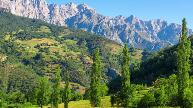 Escapada Rural entre Llanes y Cangas con desayuno y botella de sidra en la habitación