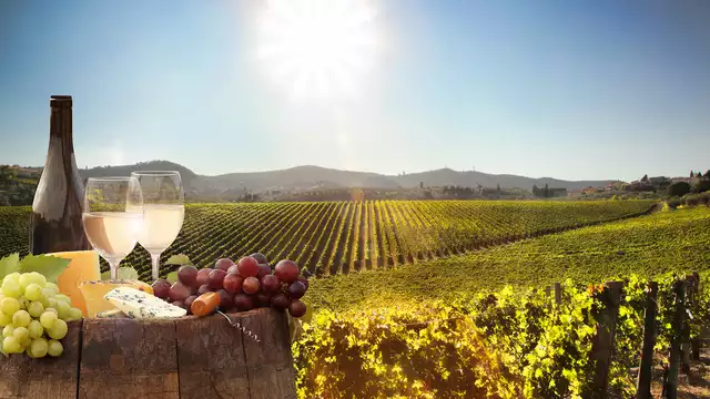 Naturaleza en familia en el corazón de los viñedos entre Aviñón y Nîmes