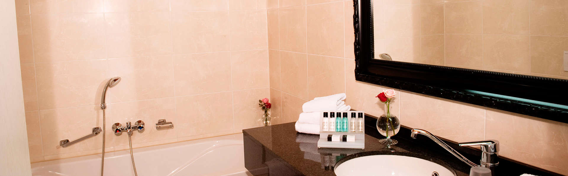 Van der Valk Hotel Schiphol A4 - EDIT_bathroom4.jpg