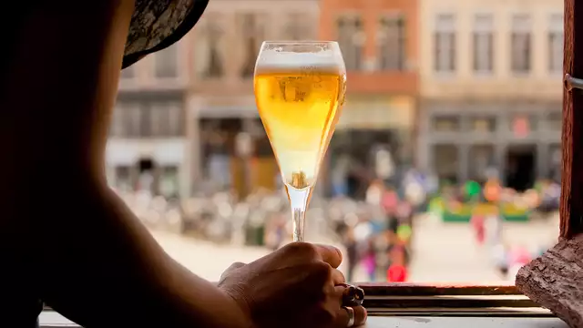 Degustación de cervezas en la histórica ciudad de Brujas