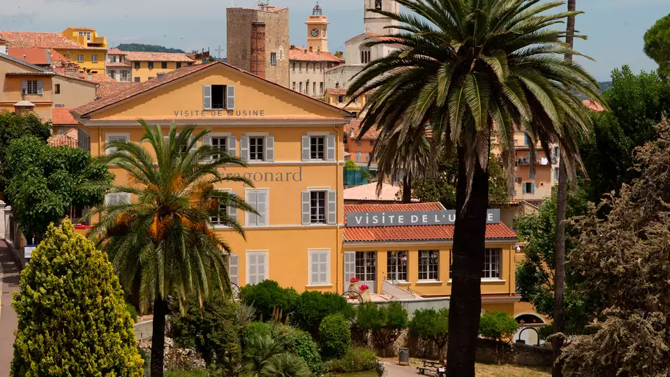 Abanico de aromas en Cannes