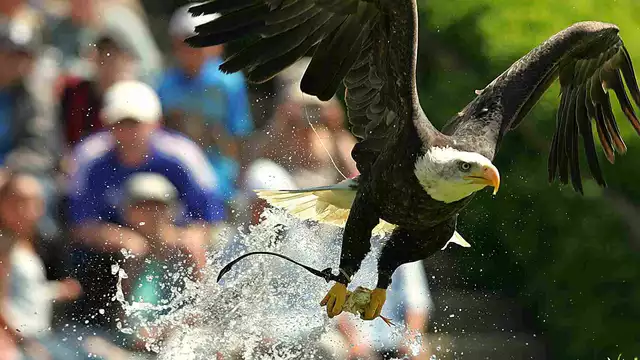 Estancia cerca de Lyon con acceso al Parque de animales de Courzieu
