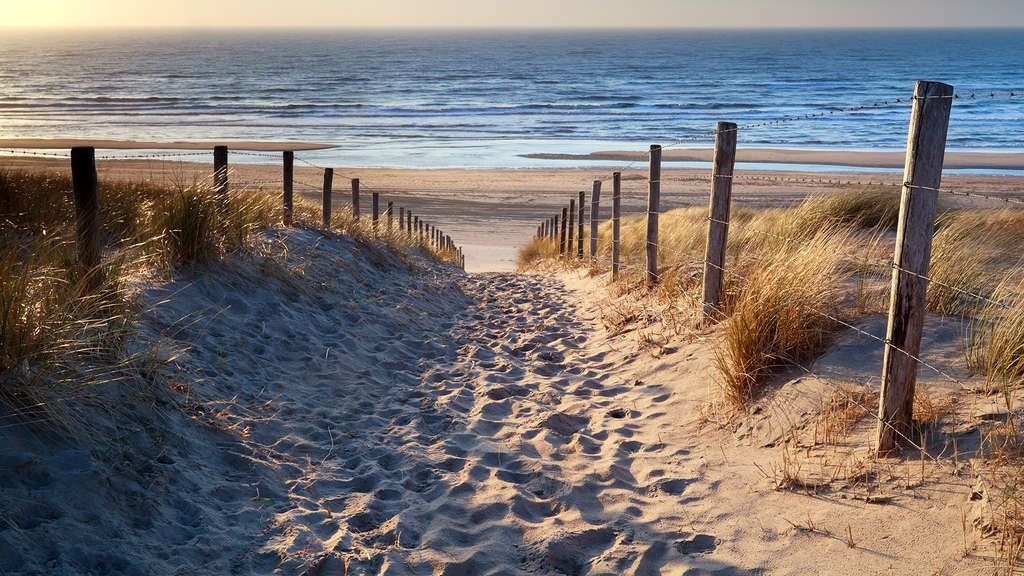 Romantique à plage avec accés au spa + bouteille de bulles + location vélo - 3* - 36