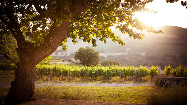 Borgo Conde Wine Resort