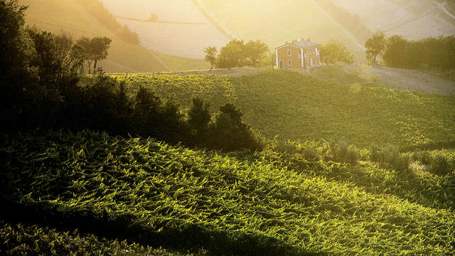 Borgo Conde Wine Resort