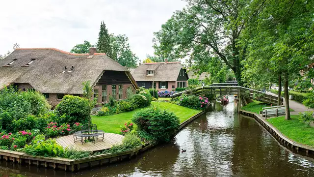 Disfruta al máximo en los bosques cerca de Steenwijk