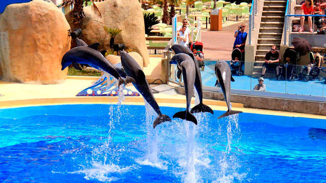 Bajo el sol de Antibes con entradas para el parque Marineland
