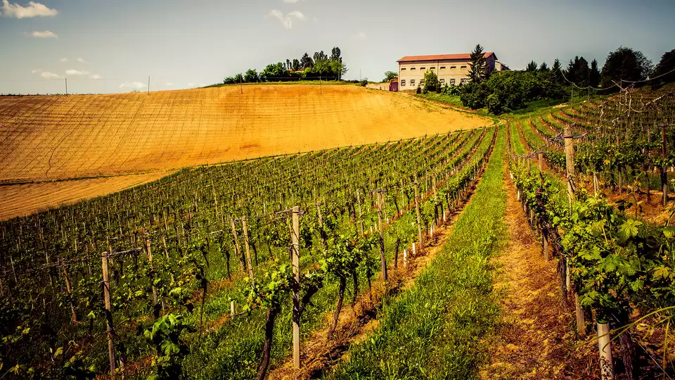 Weekend ad Acqui Terme tra le colline del Piemonte