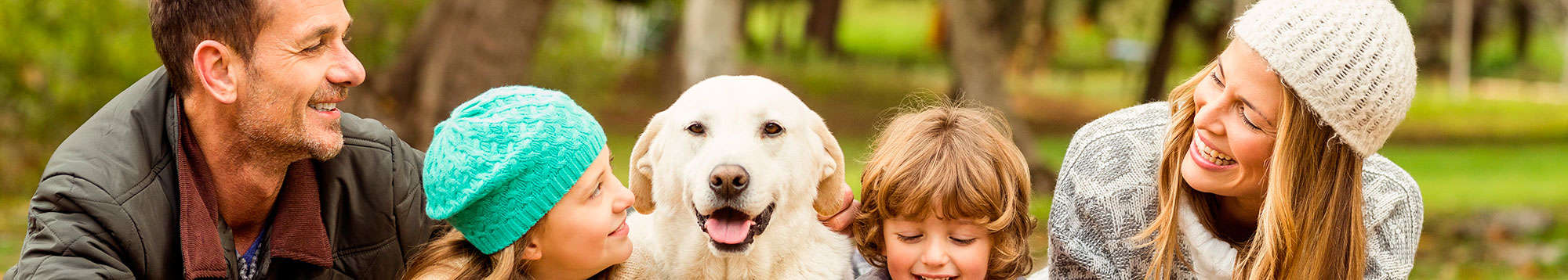 Escapadas fin de semana Con mascota