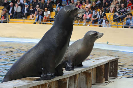Week end avec des billets pour Marineland à Malgrat de Mar