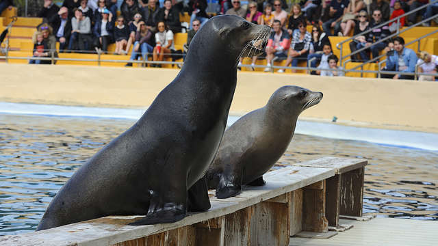 Marineland: uitje met kaartjes voor het waterpark in Malgrat de Mar