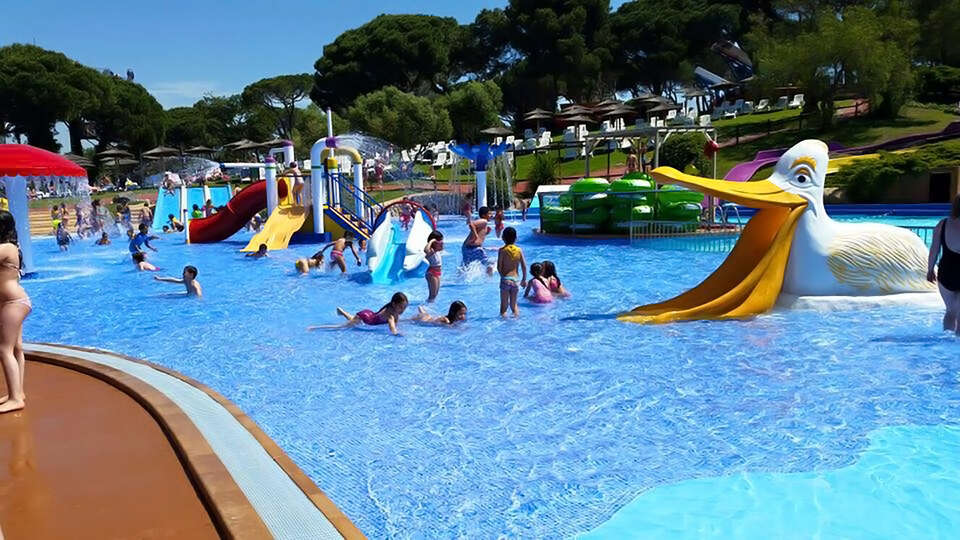 Ven a conocer Marineland con esta escapada en Media Pension