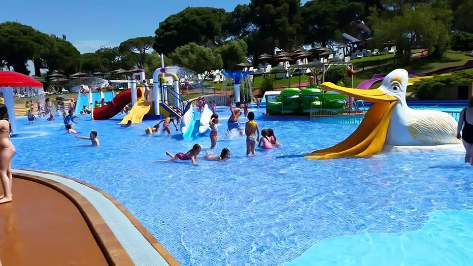 Ven a conocer Marineland con esta escapada en Media Pension