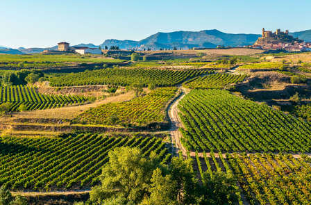 Escapade relaxante avec visite d’un vignoble et spa dans un hôtel de charme à Álava