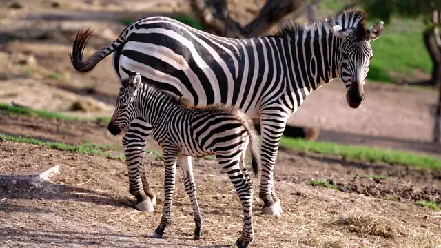 Fuga con biglietti per Terra Natura e colazione inclusa