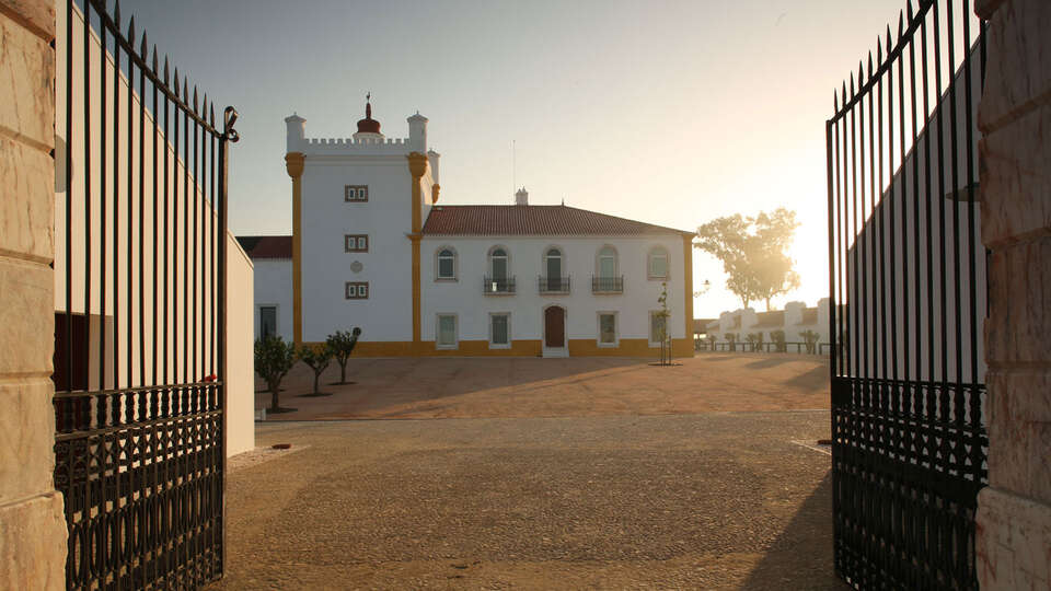 Goditi la campagna portoghese con visita alle cantine da notti