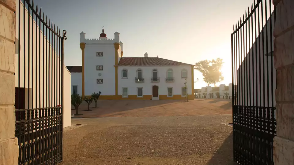 Goditi la campagna portoghese con visita alle cantine da notti