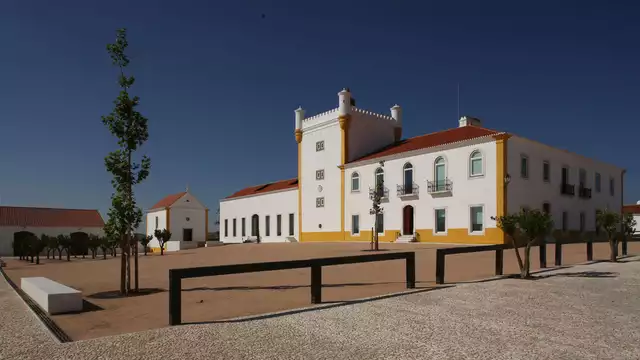 Goditi la campagna portoghese con visita alle cantine da notti