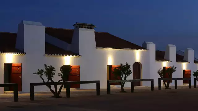 Goditi la campagna portoghese con visita alle cantine da notti