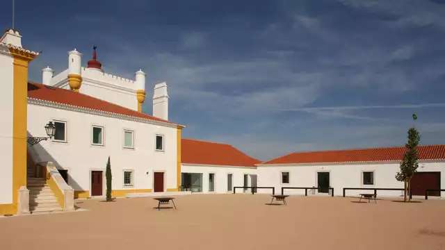 Goditi la campagna portoghese con visita alle cantine da notti